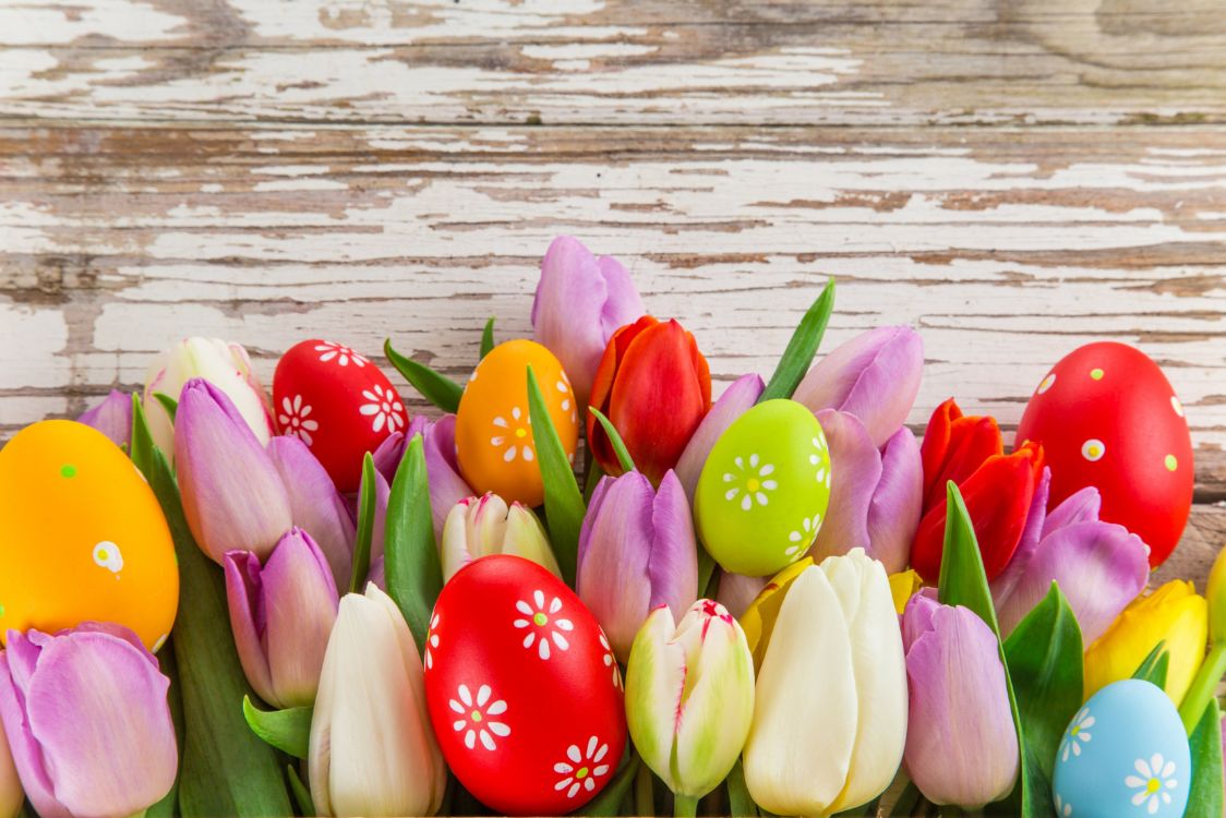 Easter image of eggs and flowers to promote support services available to students during the holiday